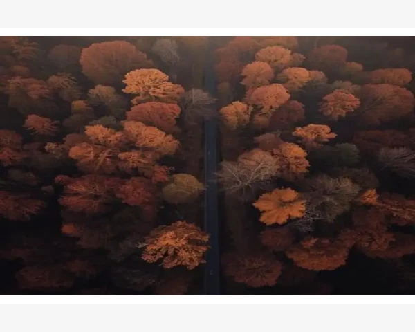 女生拔罐的好处与坏处：深入探讨中医养生之道