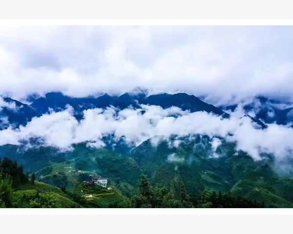 中医科普：理解前列腺中药方剂的功效与应用